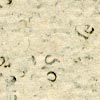 Papier MV 9
